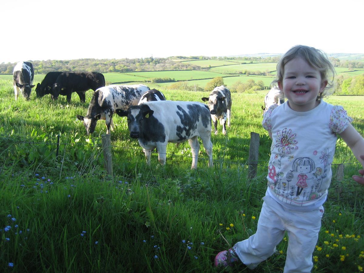 Three Gates Farm Holiday Cottages Huntsham Εξωτερικό φωτογραφία